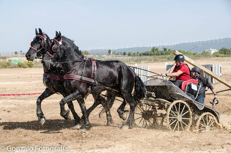 David Aramendía y Carmen Goiburu, Campeones Navarros de Enganches Completo en Troncos y Limoneras